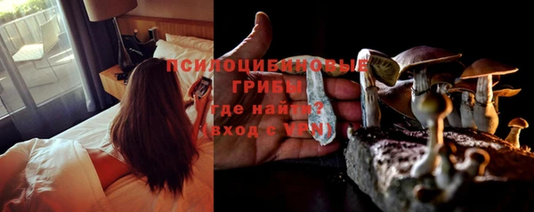 spice Осинники
