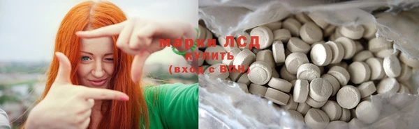 spice Осинники