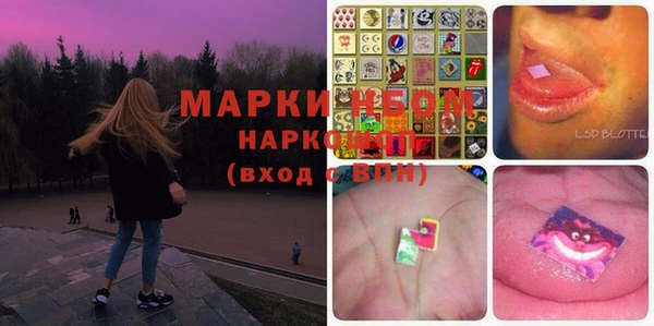 spice Осинники