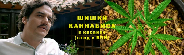 spice Осинники