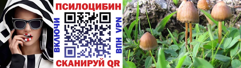Купить Южно-Сухокумск Галлюциногенные грибы ЛСД